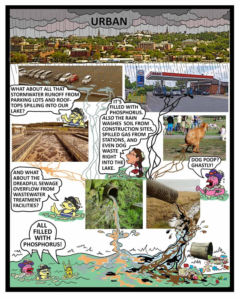 Pollutants entering water sources.